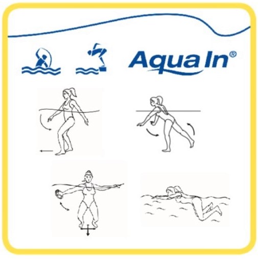Aqua In Kernübungen aquafitness und Schwimmen