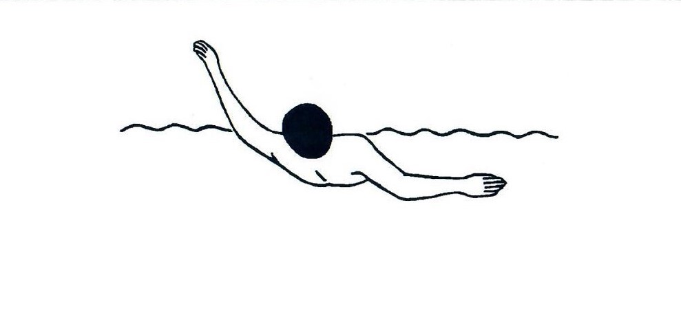 Zeichnung zum Rückenschwimmen, Armbewegung von hinten
