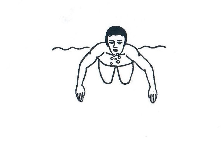 Zeichnung zum Brustschwimmen, Armbewegung von vorn