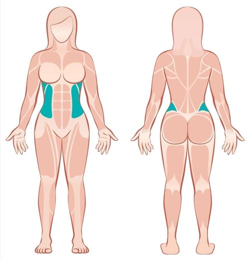 seitliche Bauchmuskulatur Frauen