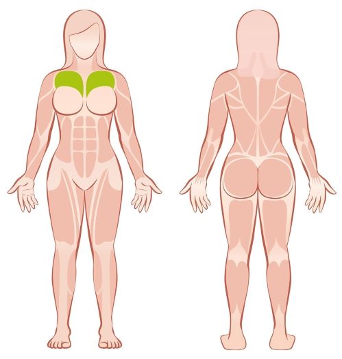 Brustmuskulatur Frauen