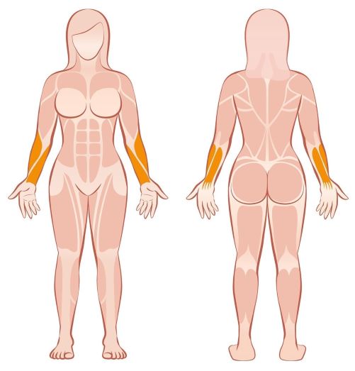 Unterarmmuskulatur Frauen