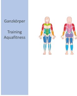 Ganzkörpertraining Aquafitness