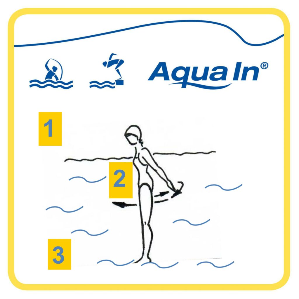 Im Aqua In Konzept werden Bewegungsebenen für Arme und Beine definiert. Das Wasser wird dafür in drei Ebenen geteilt. 1 steht für oben, 2 für Mitte und 3 für unten.