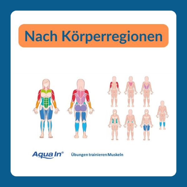 Aquafitness Übungen nach Körperregionen